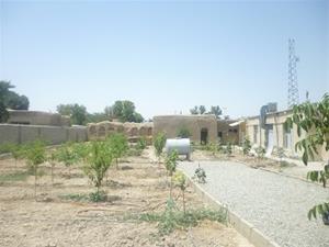  فروش باغ در تاکستان،فروش باغ ابیک،فروش باغ نظراباد
